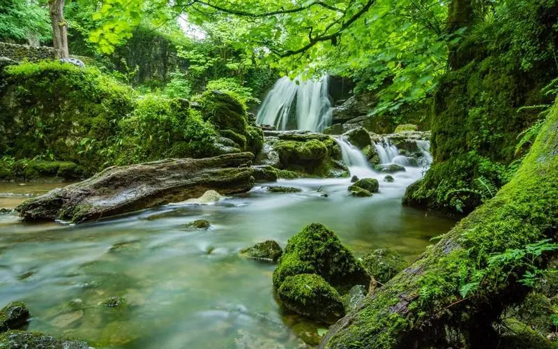 高标准绿色高端